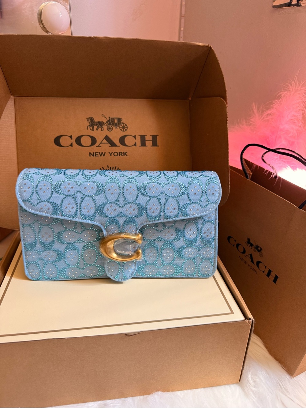 Coach Light Blue Bag